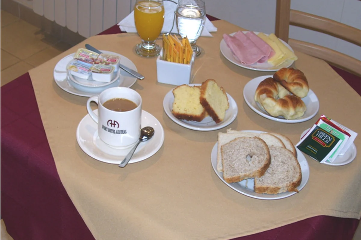 Apart Hotel Austral - imagen 2